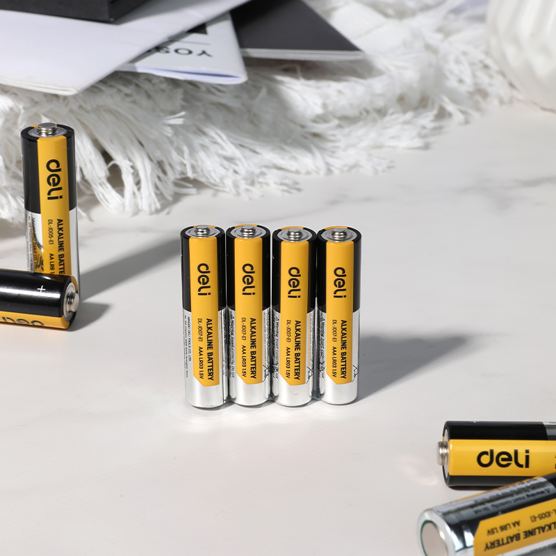 Alkaline Battery from China manufacturer - Deli Tools